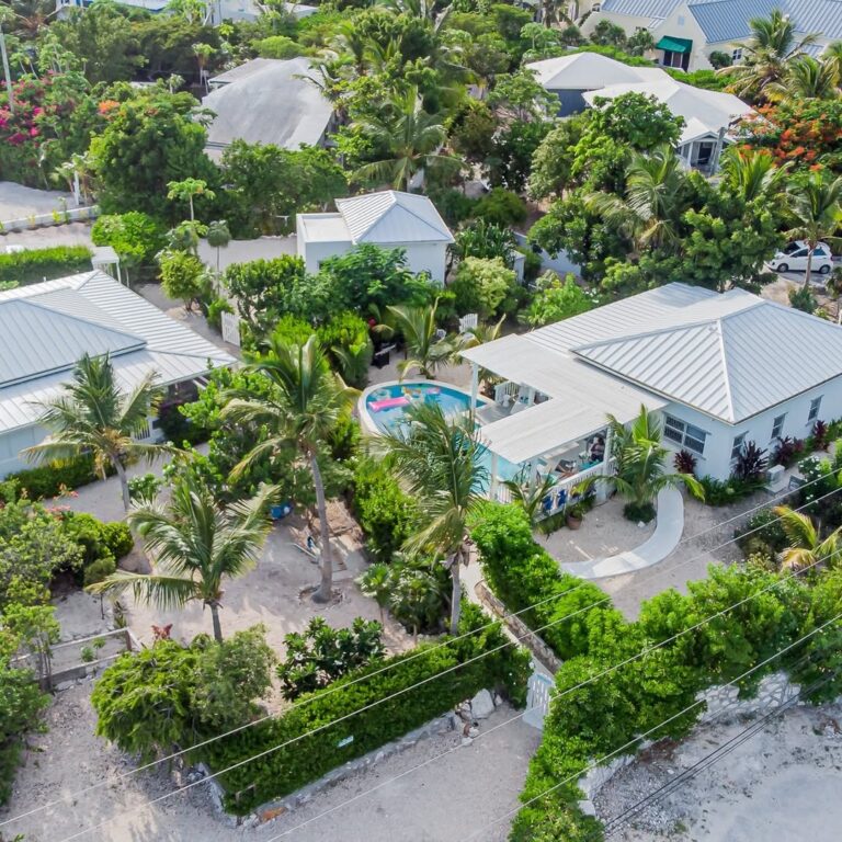 Copy of Pool House drone shot aerial view Judy's property